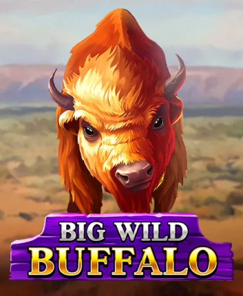 Play Big Wild Buffalo at Play You Win Casino